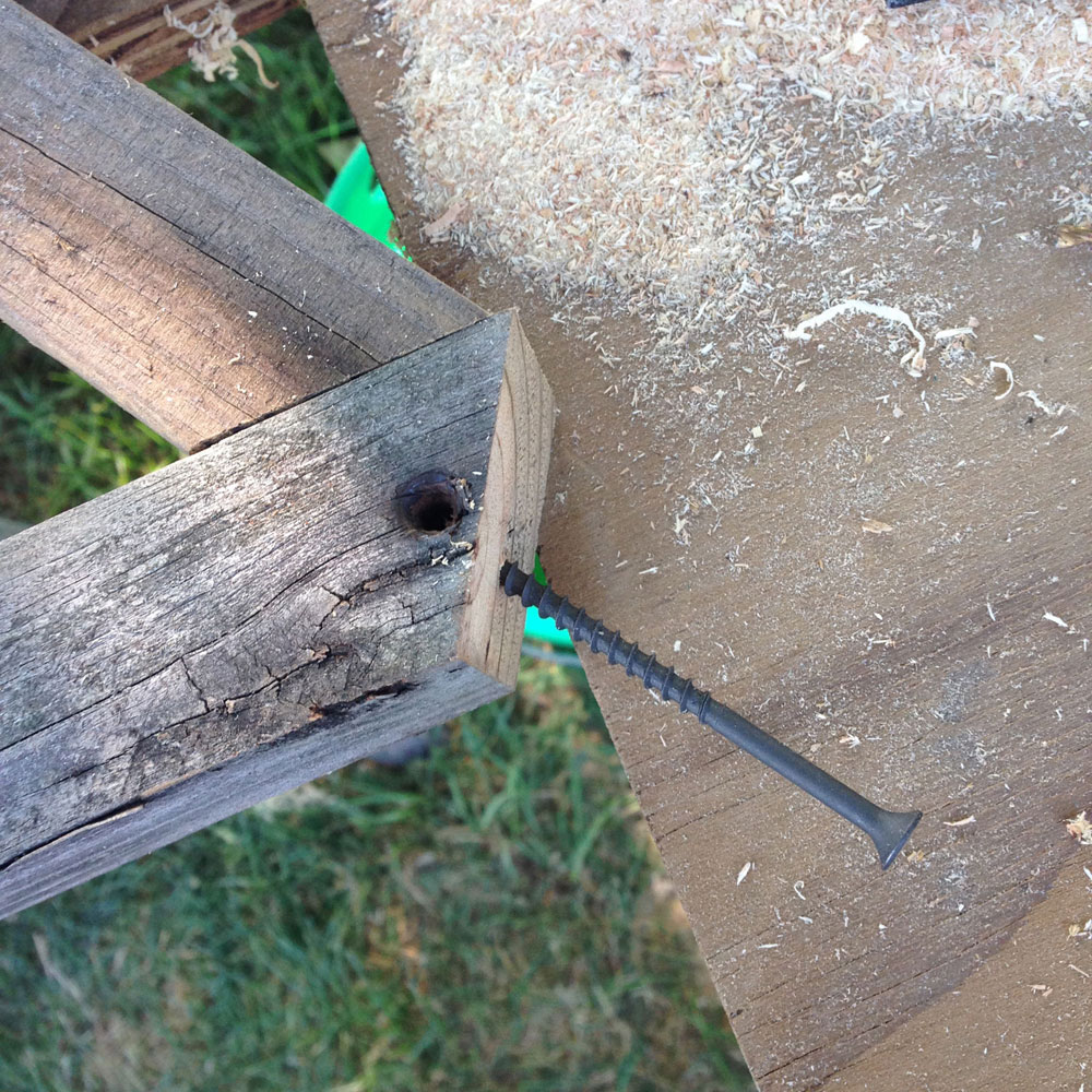 screws screws